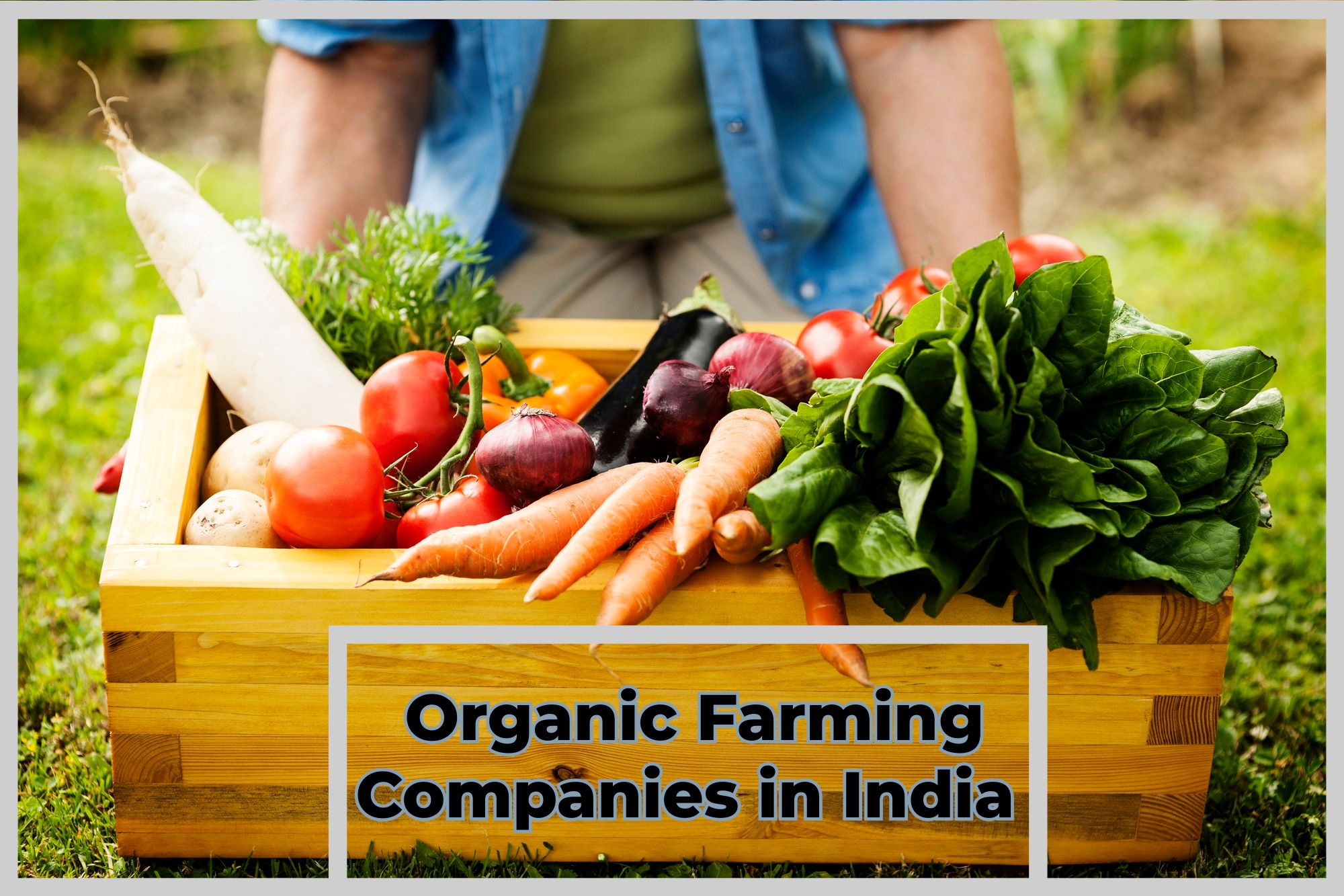 Organic Companies in India